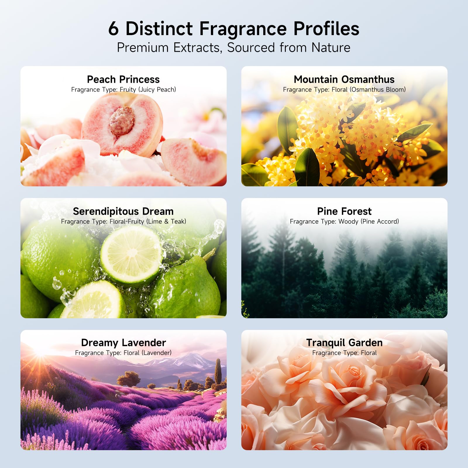 Nimin six-oil set included for ready-to-use aromatics