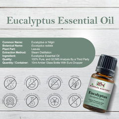 Nirvana Nurture Eucalyptus oil in diffuser setup for calm ambiance.