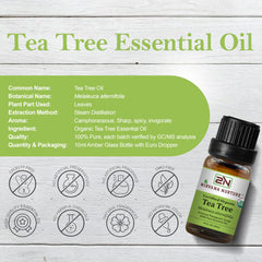 Nirvana Nurture difusor con árbol de té para un ambiente relajante