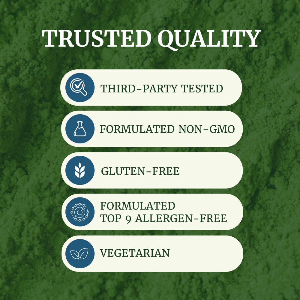 Nobi Moringa Capsules powder form shows high-potency leaf powder texture