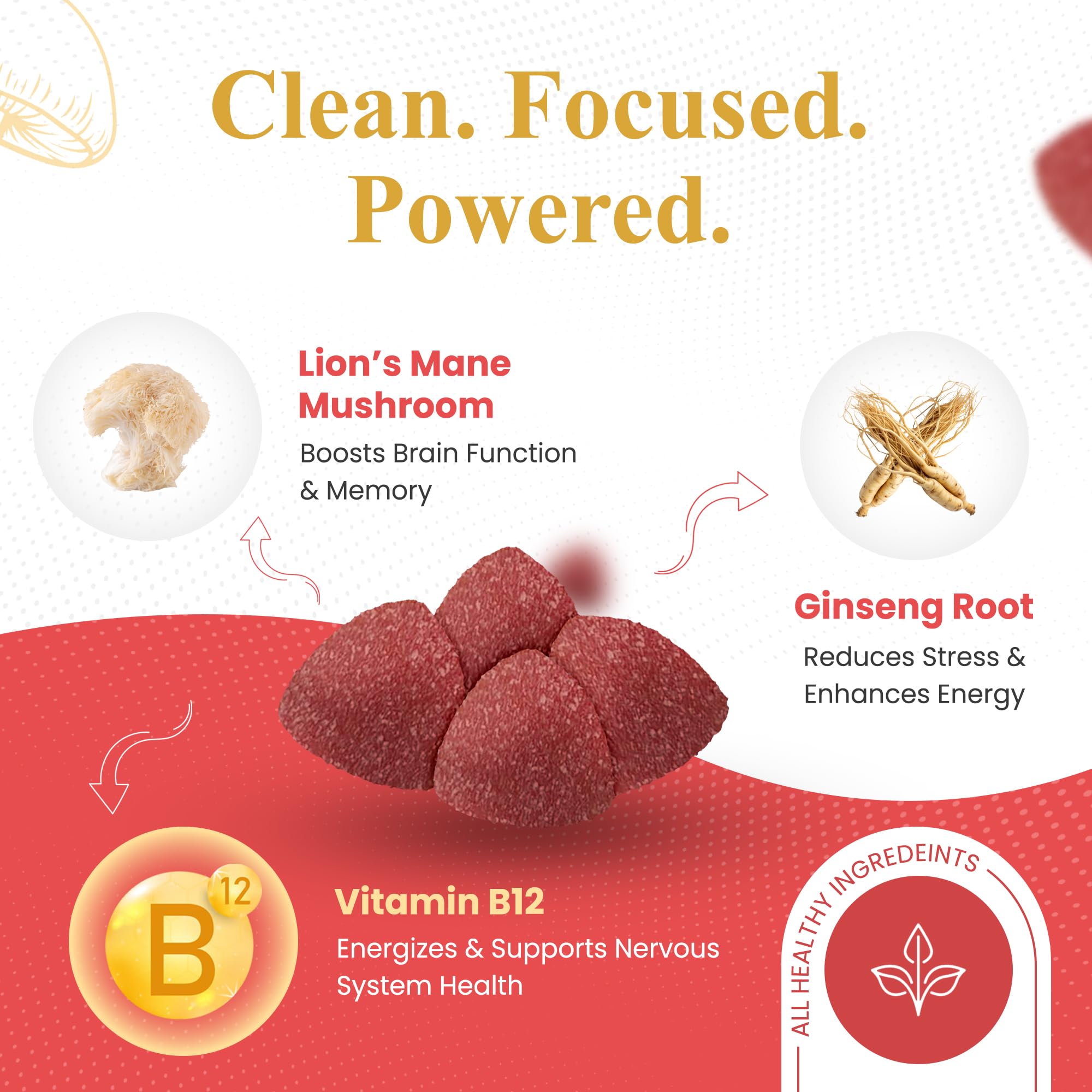 Noble Leaf Lions Mane gummies fruit punch closeup for focus support.