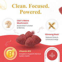 Noble Leaf Lions Mane gummies fruit punch closeup for focus support.