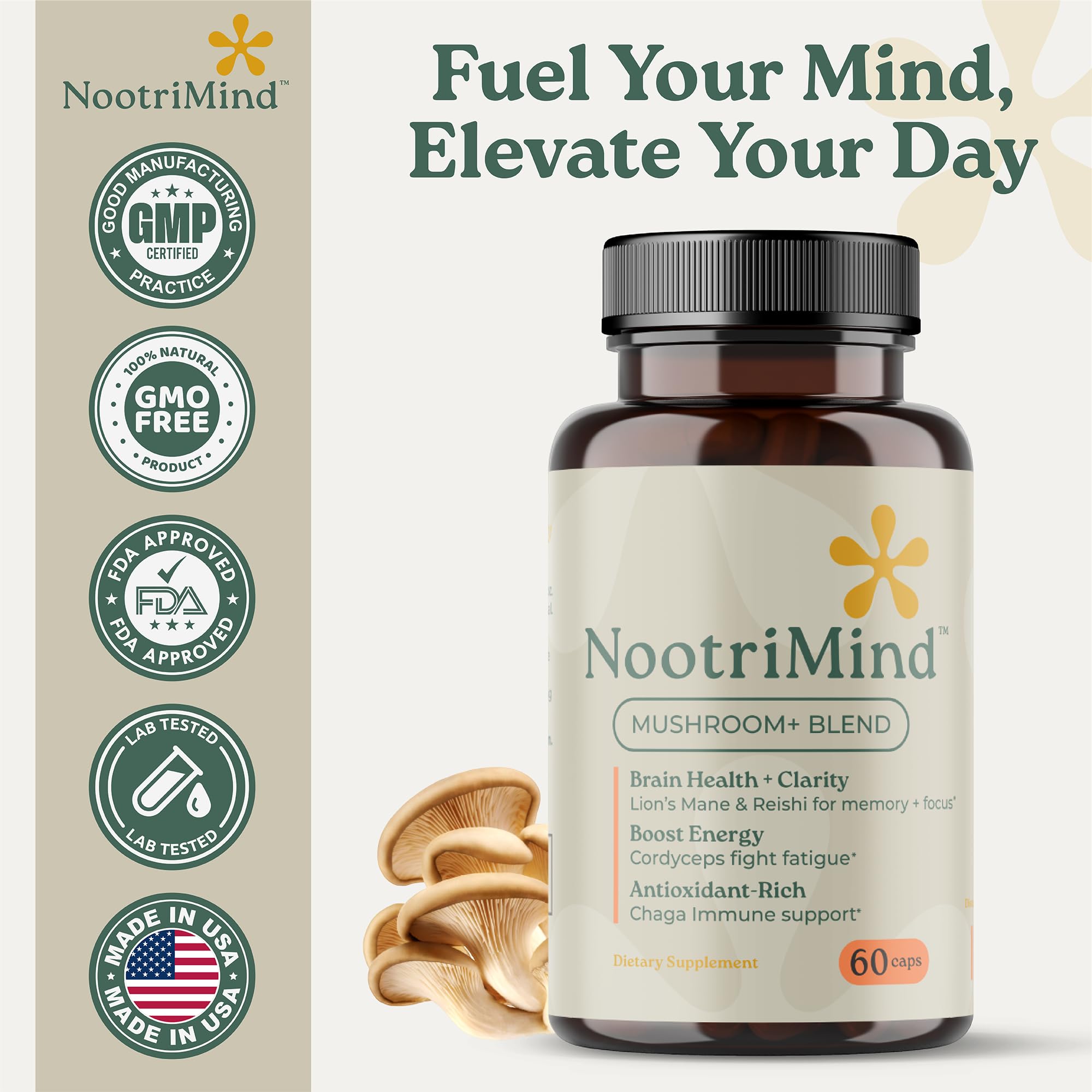 Nootrimind brain clarity visual suggesting focus and energy.