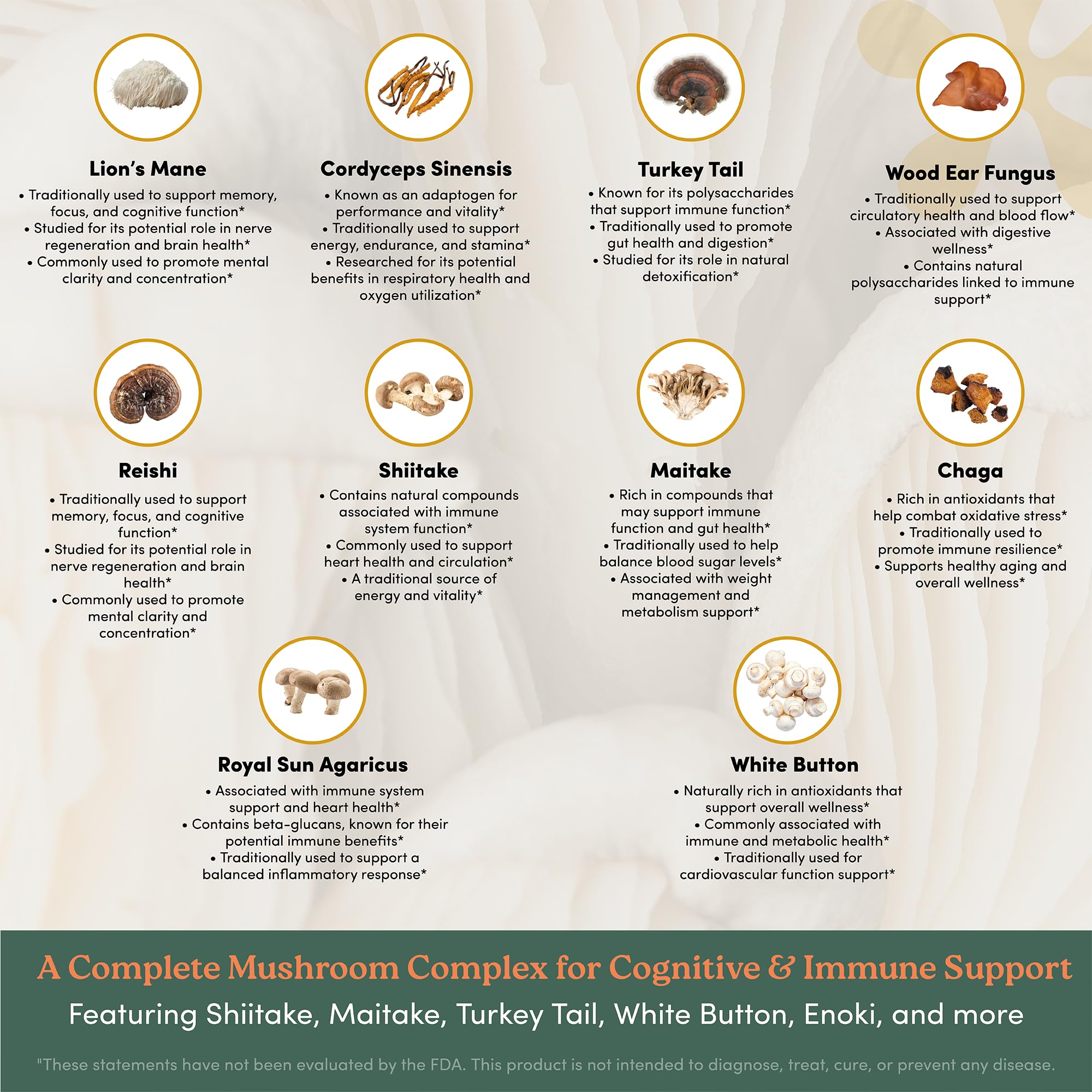 Nootrimind immune-support mushrooms in action visual.