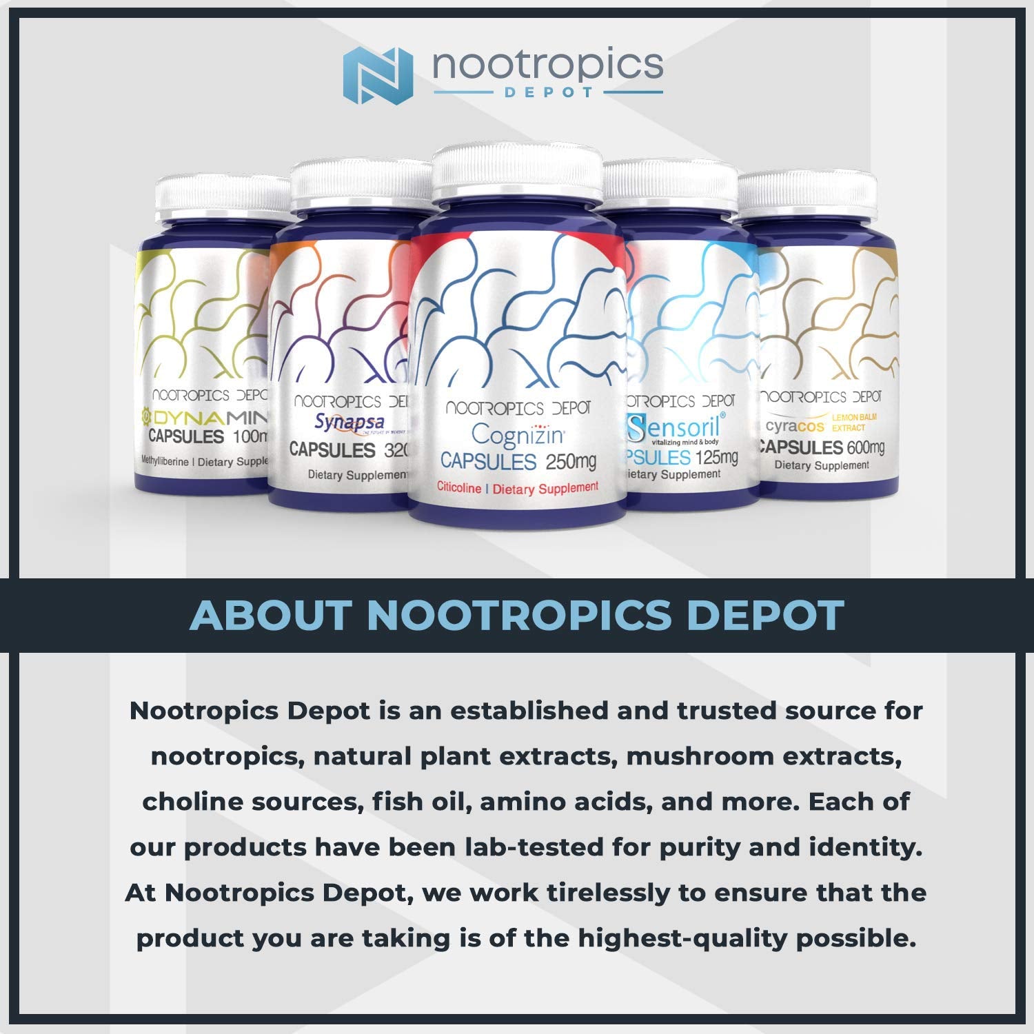 Nootropics Depot Acetyl L-Carnitine 500mg packaging variant with tamper seal