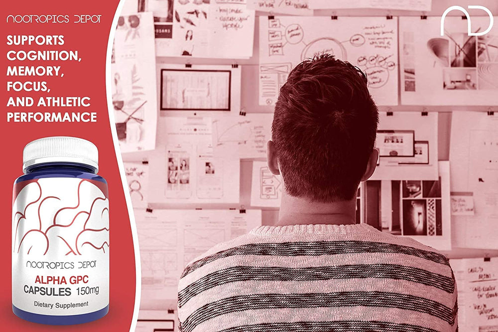 Nootropics Depot Alpha GPC capsules product shot ready for daily use.