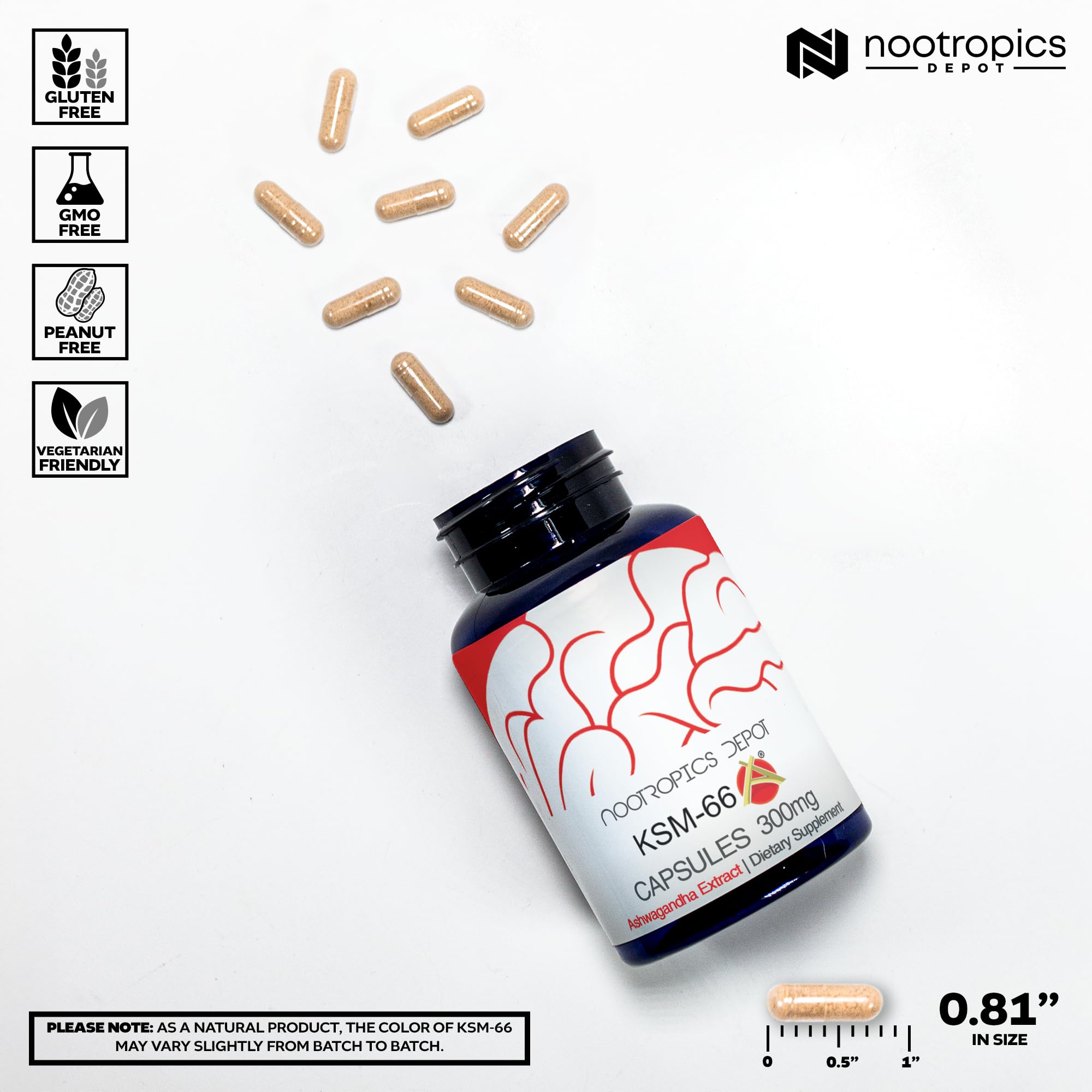 Nootropics Depot ashwagandha capsules close-up for easy daily dosage.