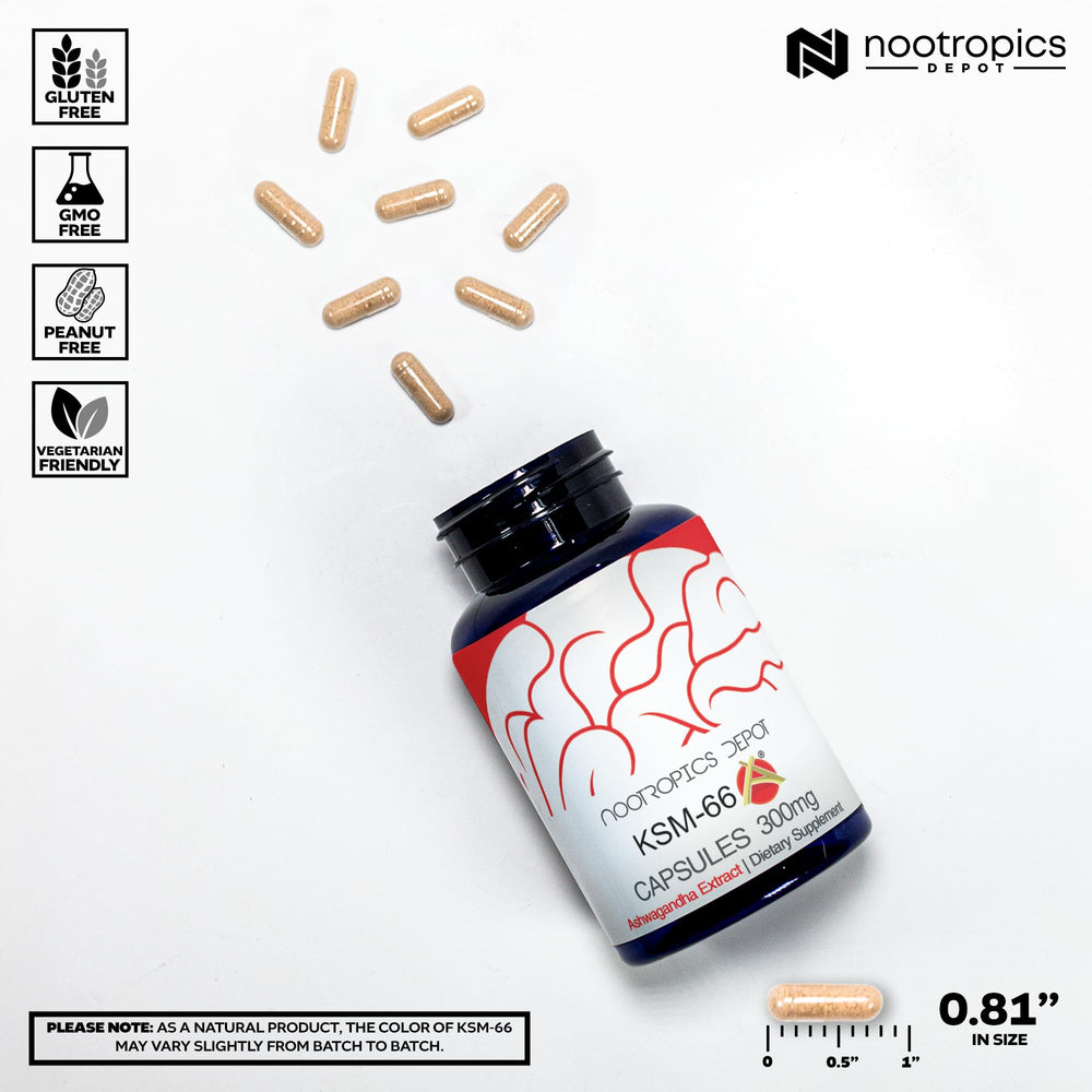 Nootropics Depot ashwagandha capsules close-up for easy daily dosage.