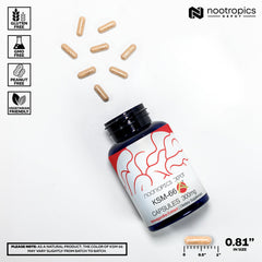 Nootropics Depot ashwagandha capsules close-up for easy daily dosage.