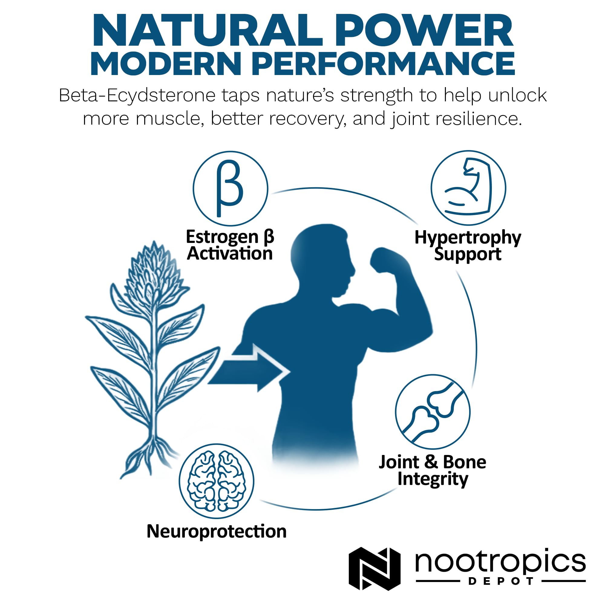Nootropics Depot athlete training scene with Beta-Ecdysterone product