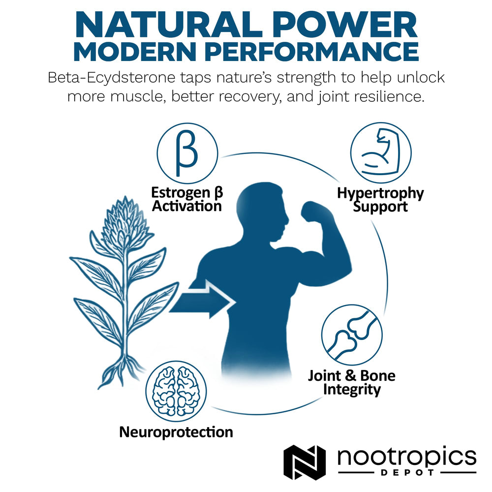 Nootropics Depot athlete training scene with Beta-Ecdysterone product