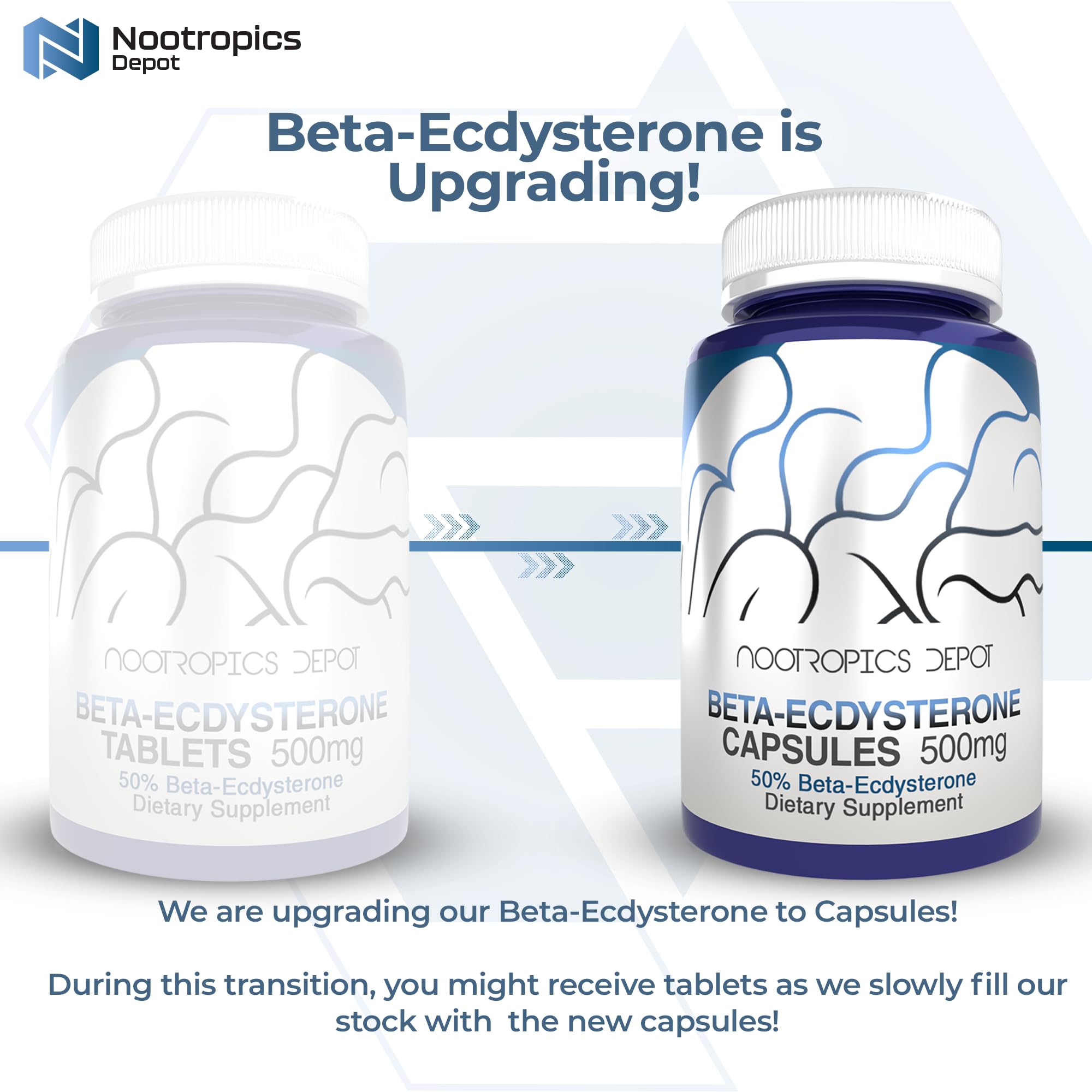 Nootropics Depot Beta-Ecdysterone tablets closeup showing texture and form