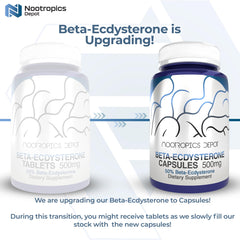 Nootropics Depot Beta-Ecdysterone tablets closeup showing texture and form