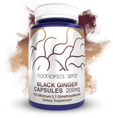 Nootropics Depot Black Ginger capsules bottle—enhanced energy support for daily activities.