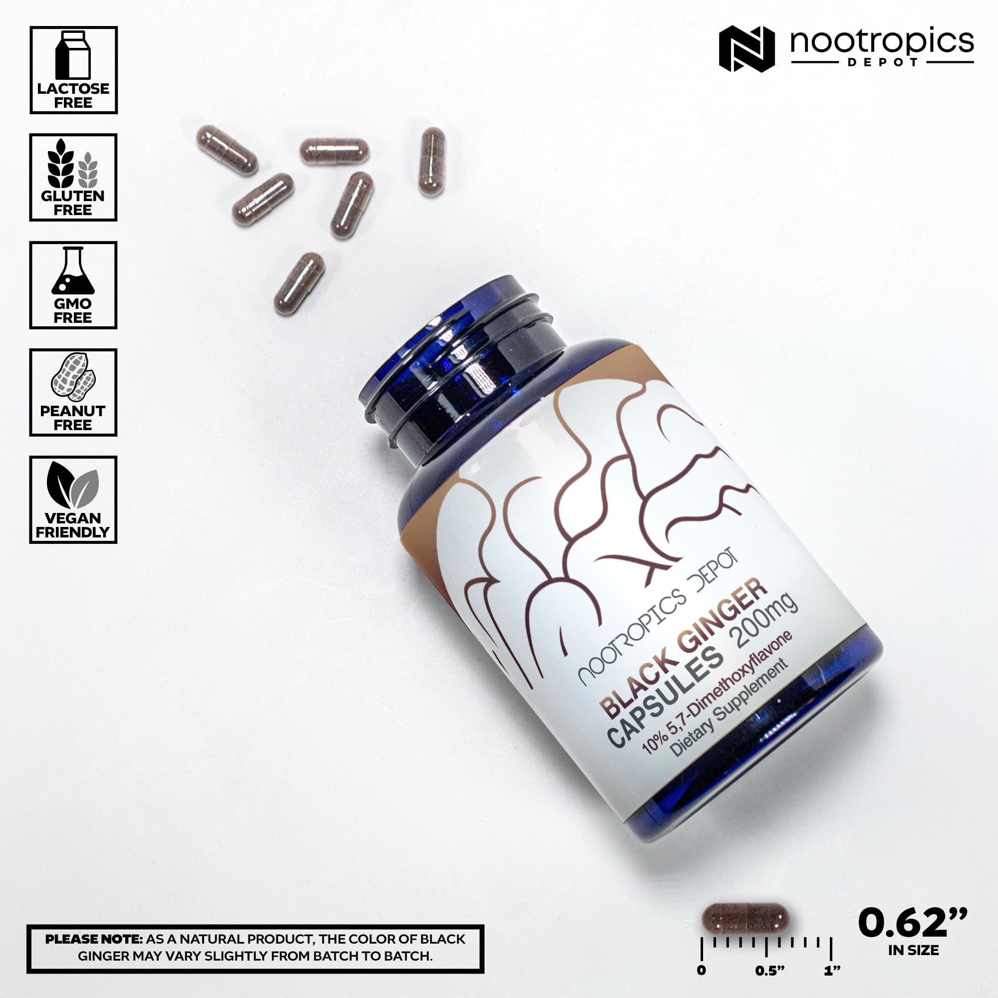 Nootropics Depot capsules arranged on table—easy daily use and quick access.