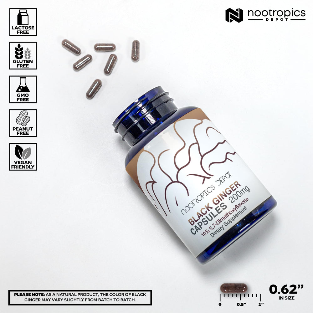 Nootropics Depot capsules arranged on table—easy daily use and quick access.