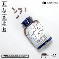 Nootropics Depot capsules arranged on table—easy daily use and quick access.