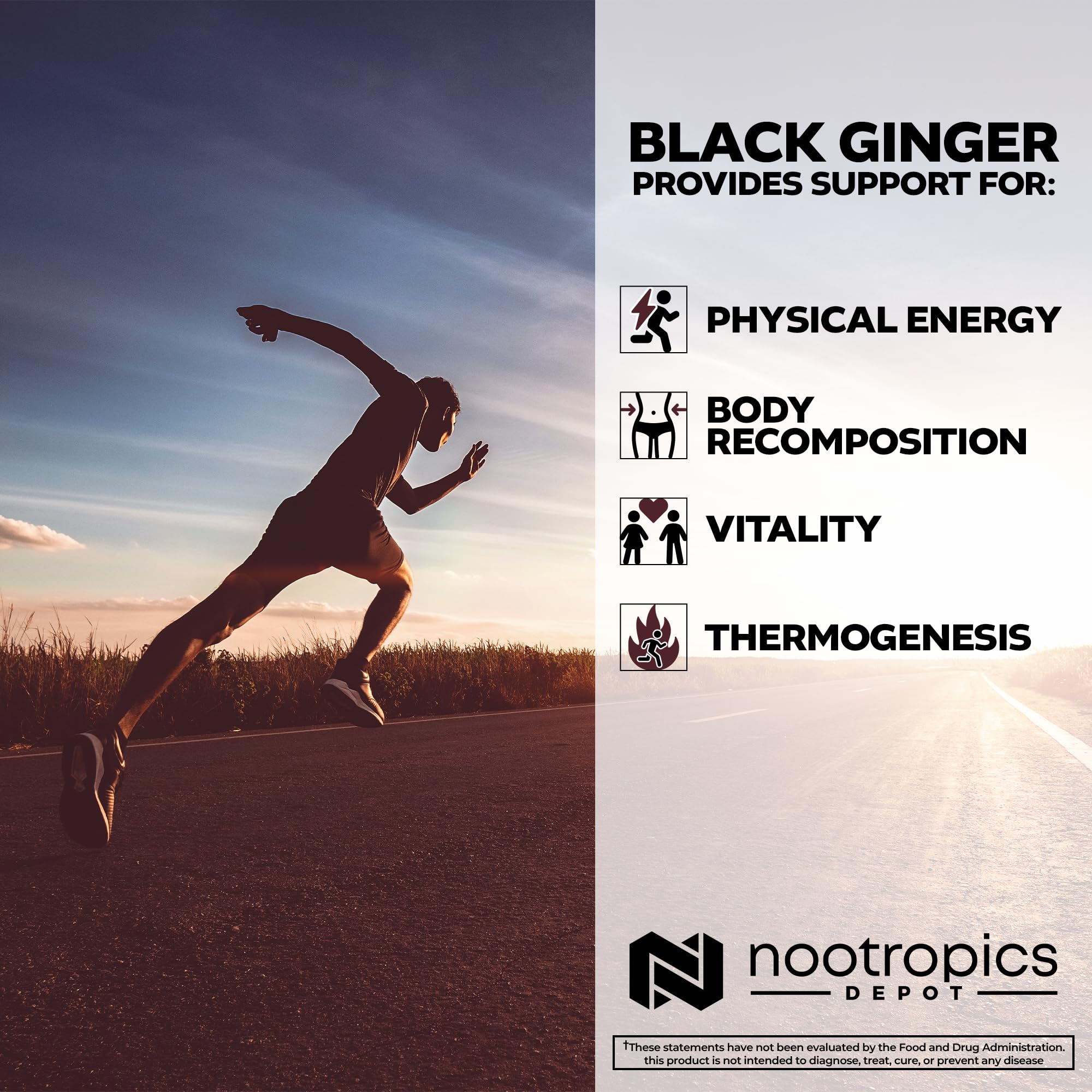 Nootropics Depot closeup of capsules—showing high potency 10% flavone content.