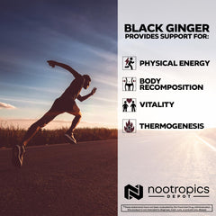 Nootropics Depot closeup of capsules—showing high potency 10% flavone content.