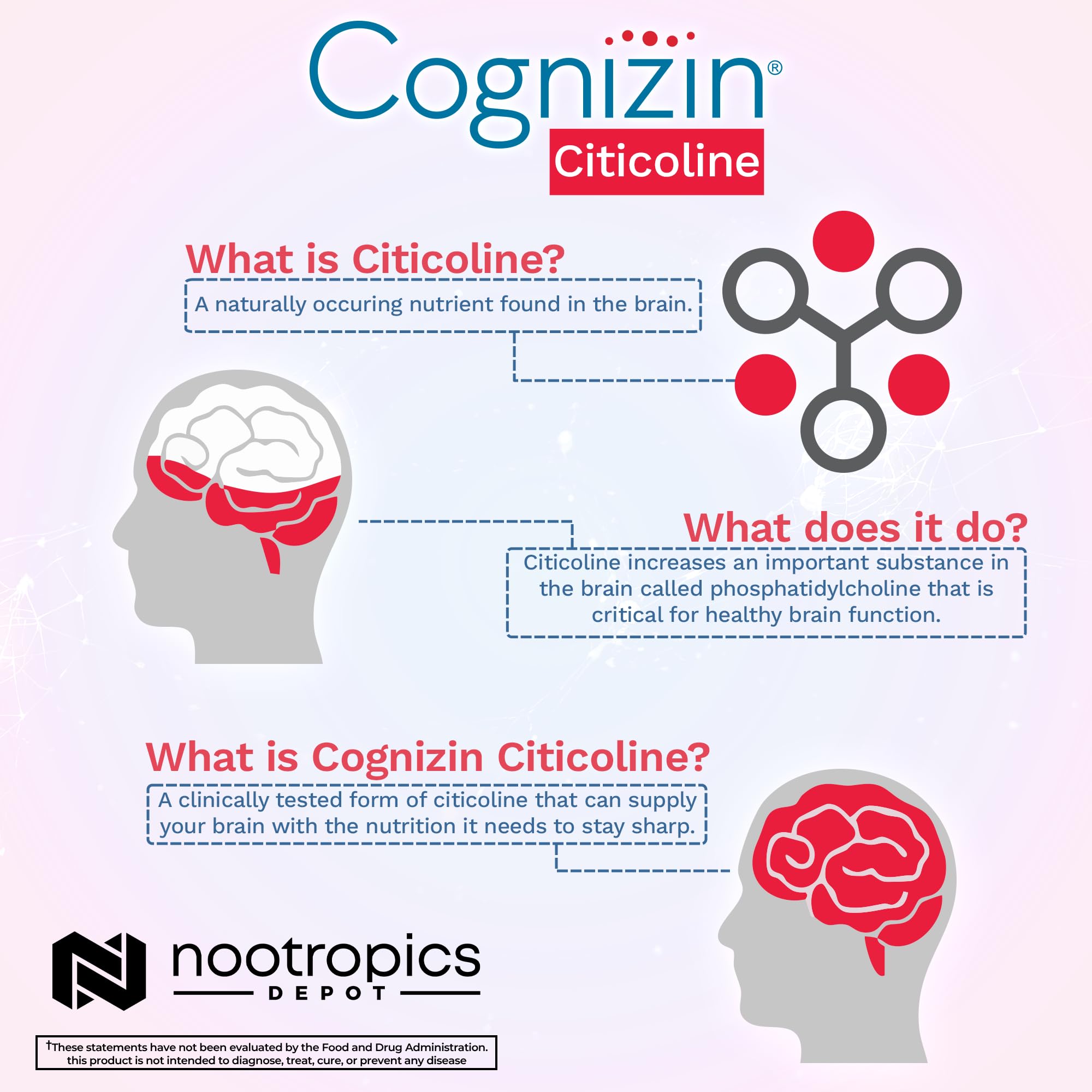 Holding Cognizin capsules from Nootropics Depot for daily routine