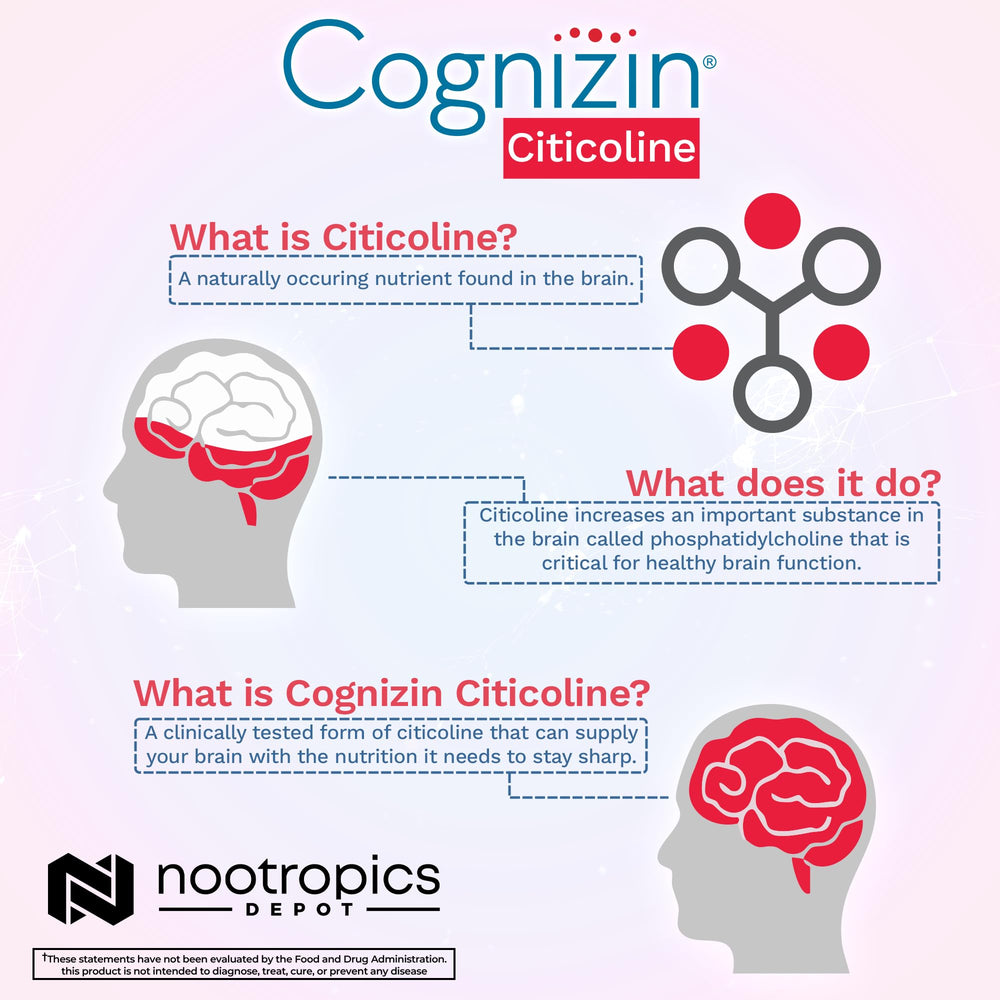 Holding Cognizin capsules from Nootropics Depot for daily routine