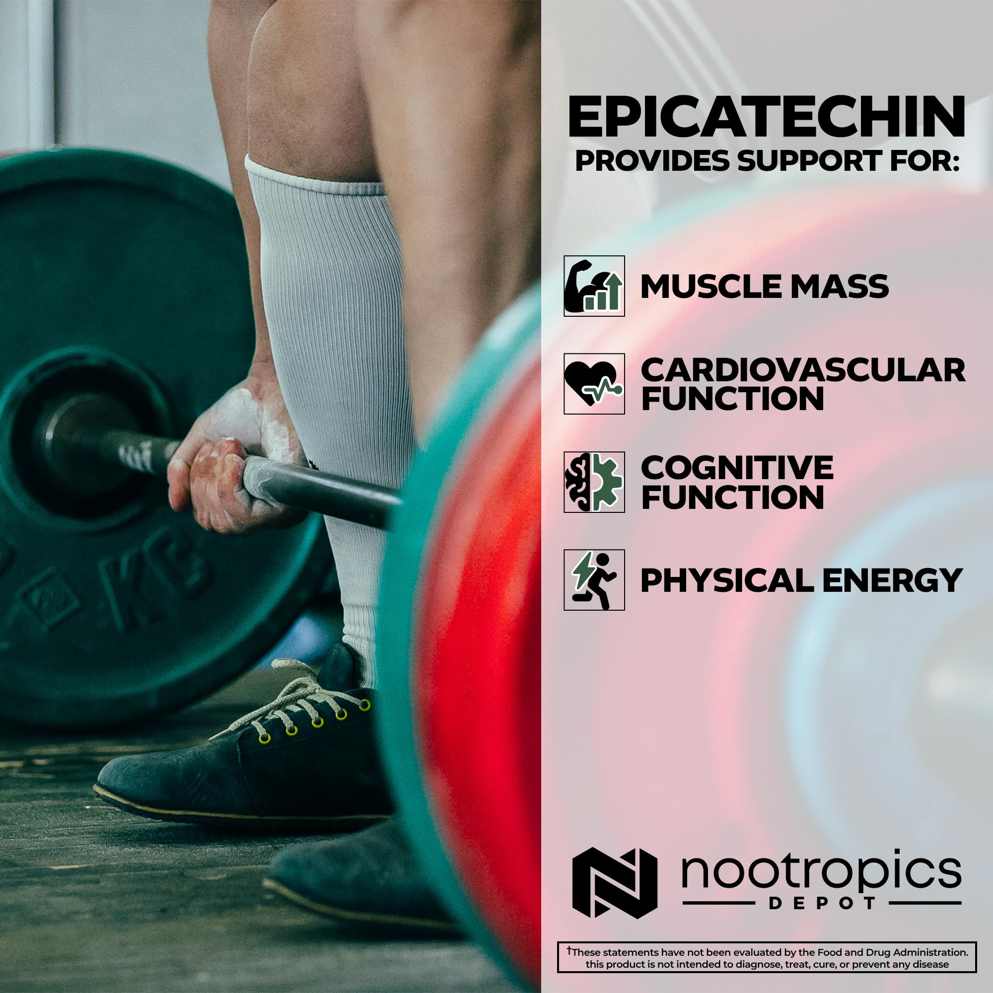 Nootropics Depot Epicatechin tablets beside dumbbells suggesting endurance support.