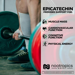 Nootropics Depot Epicatechin tablets beside dumbbells suggesting endurance support.