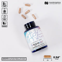 Close-up of Nootropics Depot Erinamax Lions Mane label showing branding and quality.