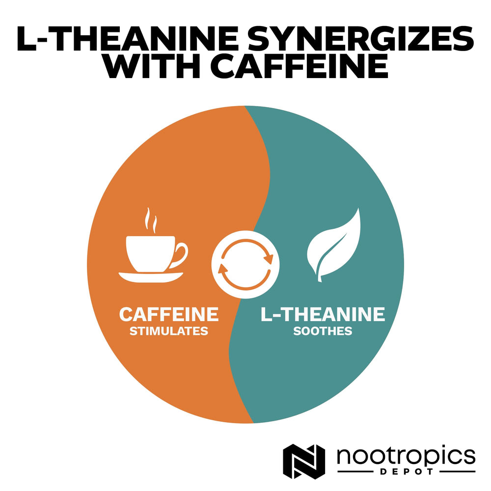 Nootropics Depot L-Theanine storage jar shown in a cool place