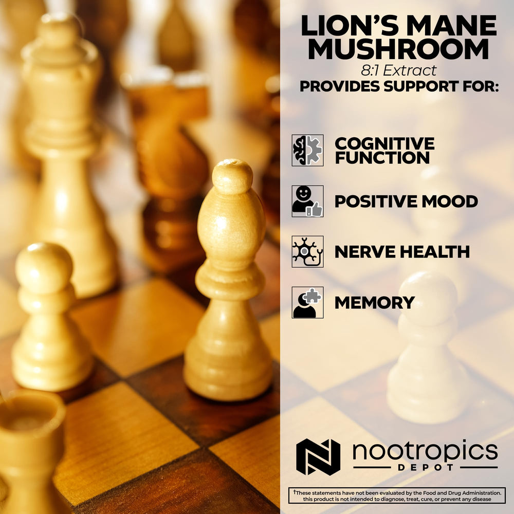 Nootropics Depot dried fruiting body slices evoke traditional wellness cues.