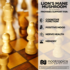 Nootropics Depot dried fruiting body slices evoke traditional wellness cues.