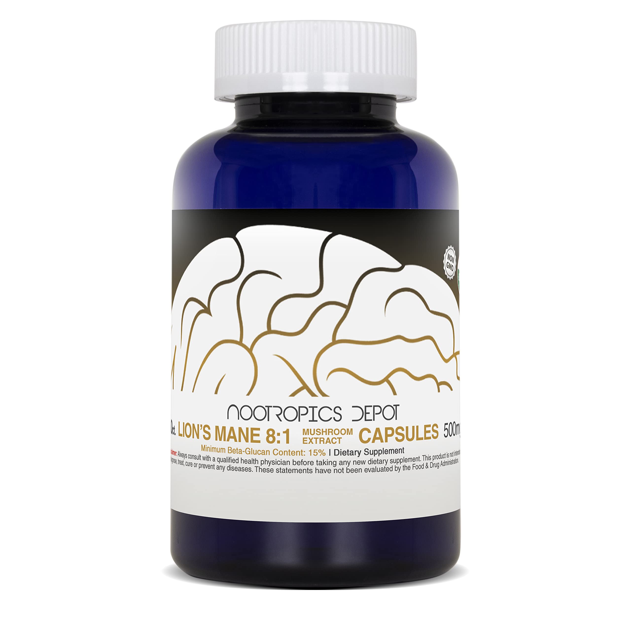 Nootropics Depot Lions Mane with visible beta-glucans for digestive support.