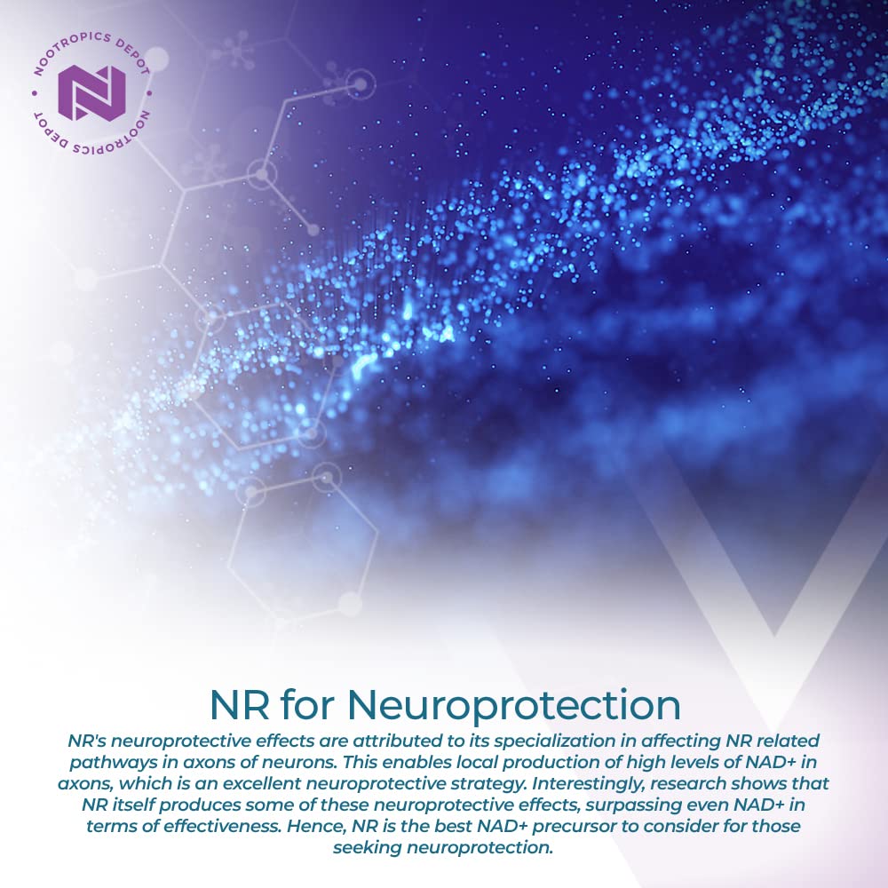 Close-up of label on Nootropics Depot NR capsules highlighting NAD+ precursor