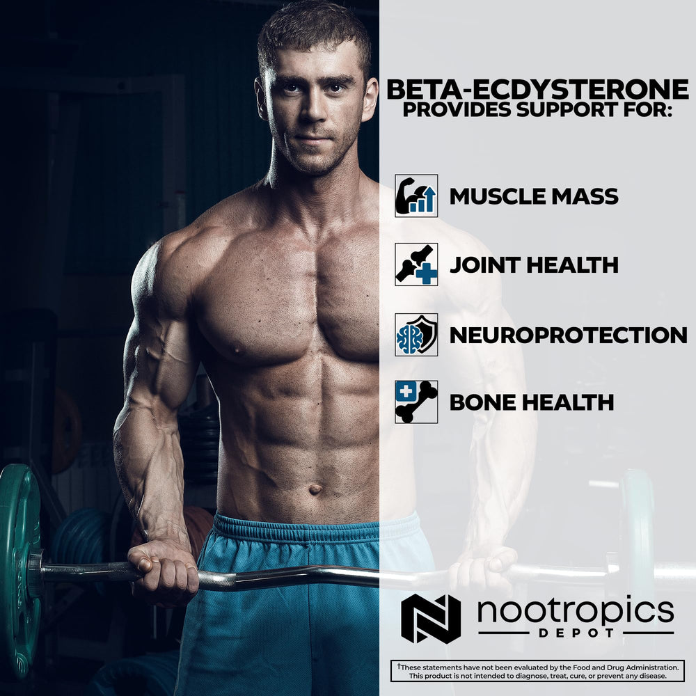 Nootropics Depot nutrition facts panel on product packaging