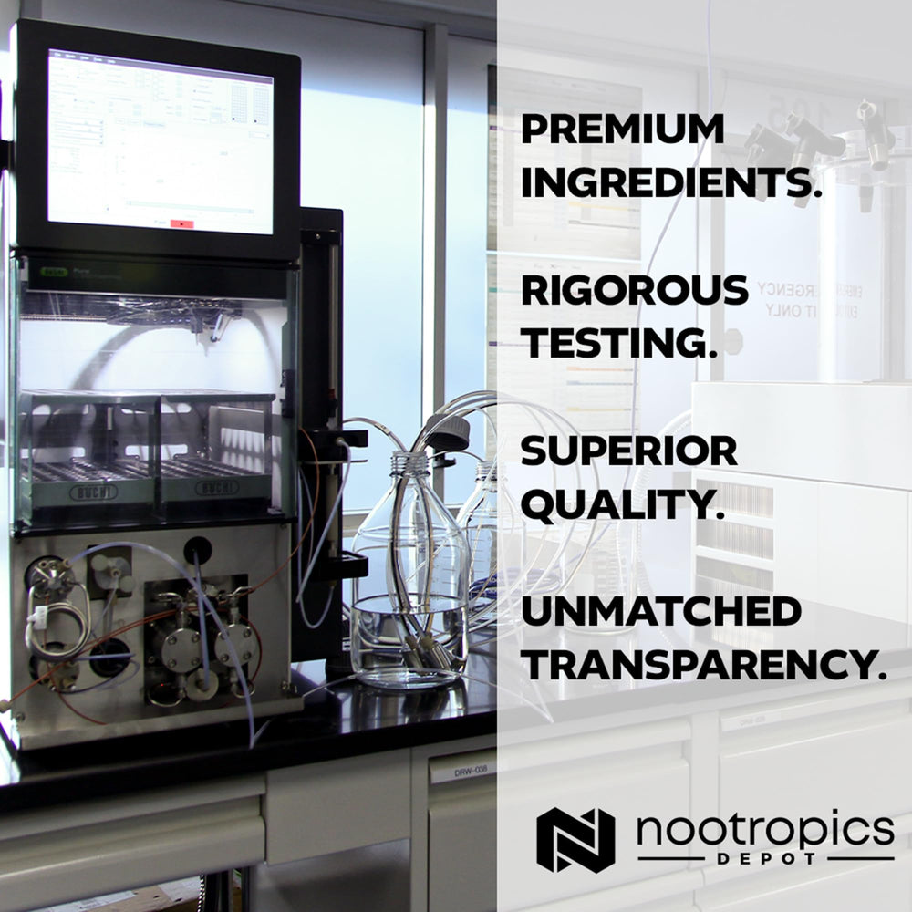 Packaging display shows sleek bottle and clear dosage information from Nootropics Depot.