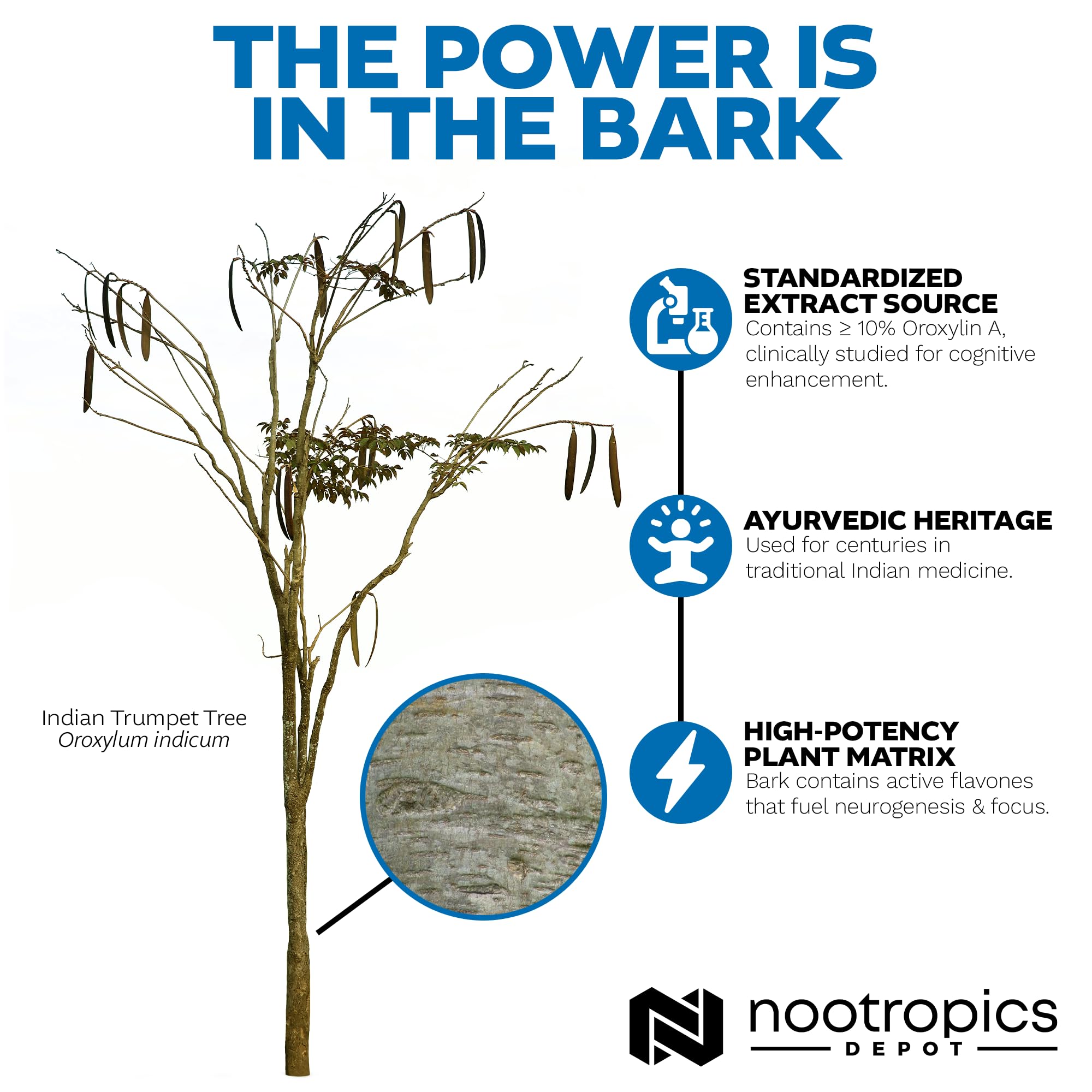 Nootropics Depot Sabroxy Oroxylum indicum ingredient highlight on packaging