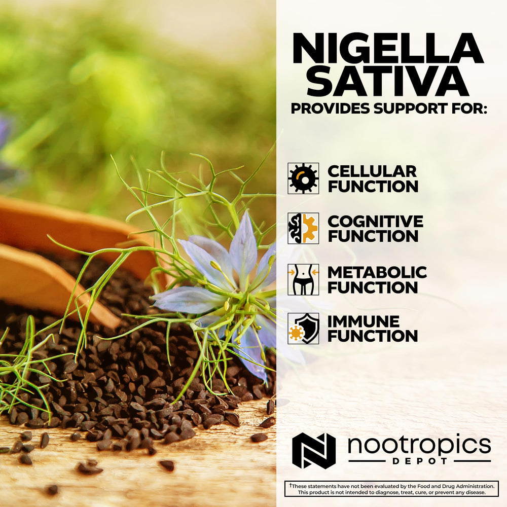 Nootropics Depot Nigella Sativa 10% thymoquinone bottle for premium extract options.