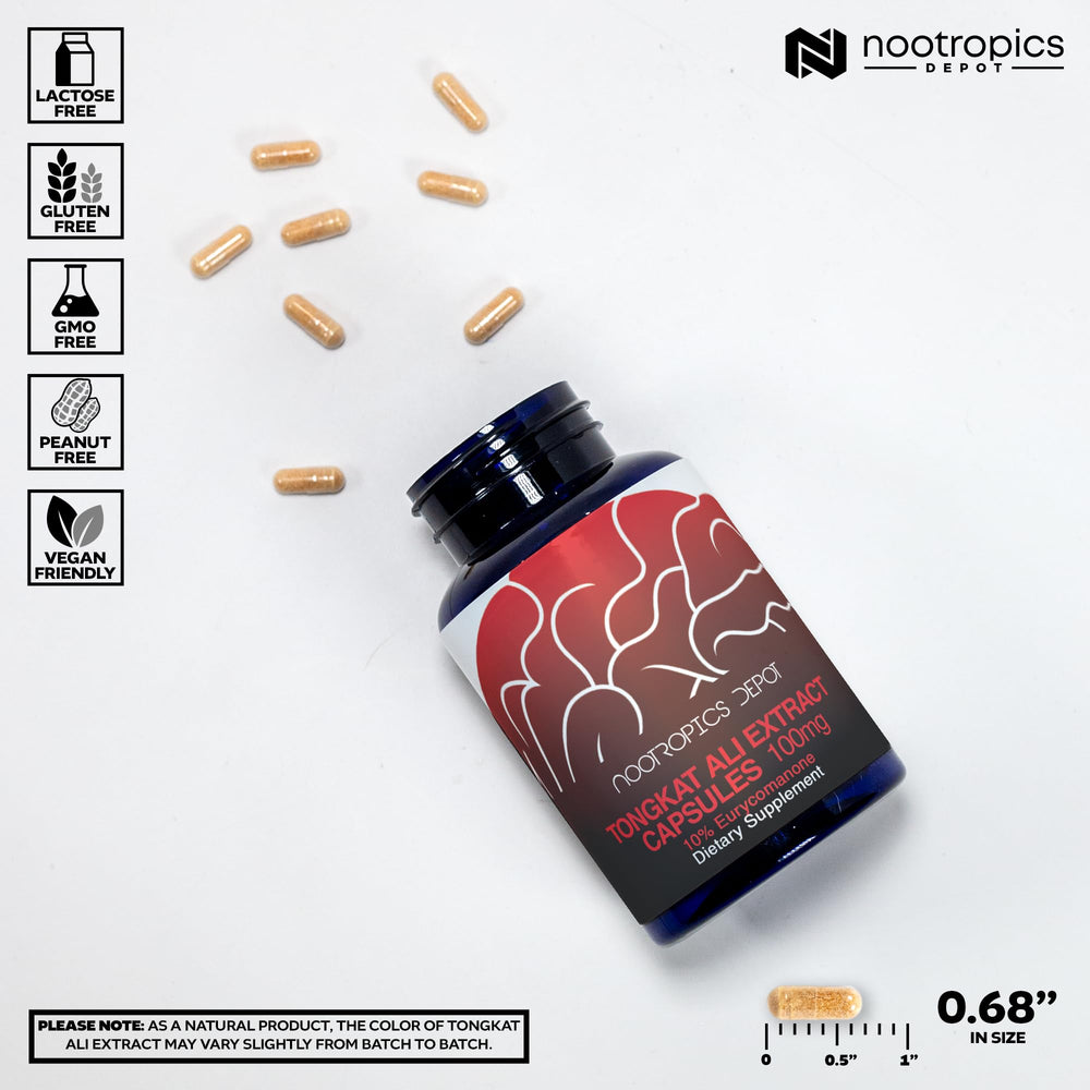 Closeup of Tongkat Ali capsules from Nootropics Depot for convenient daily use.