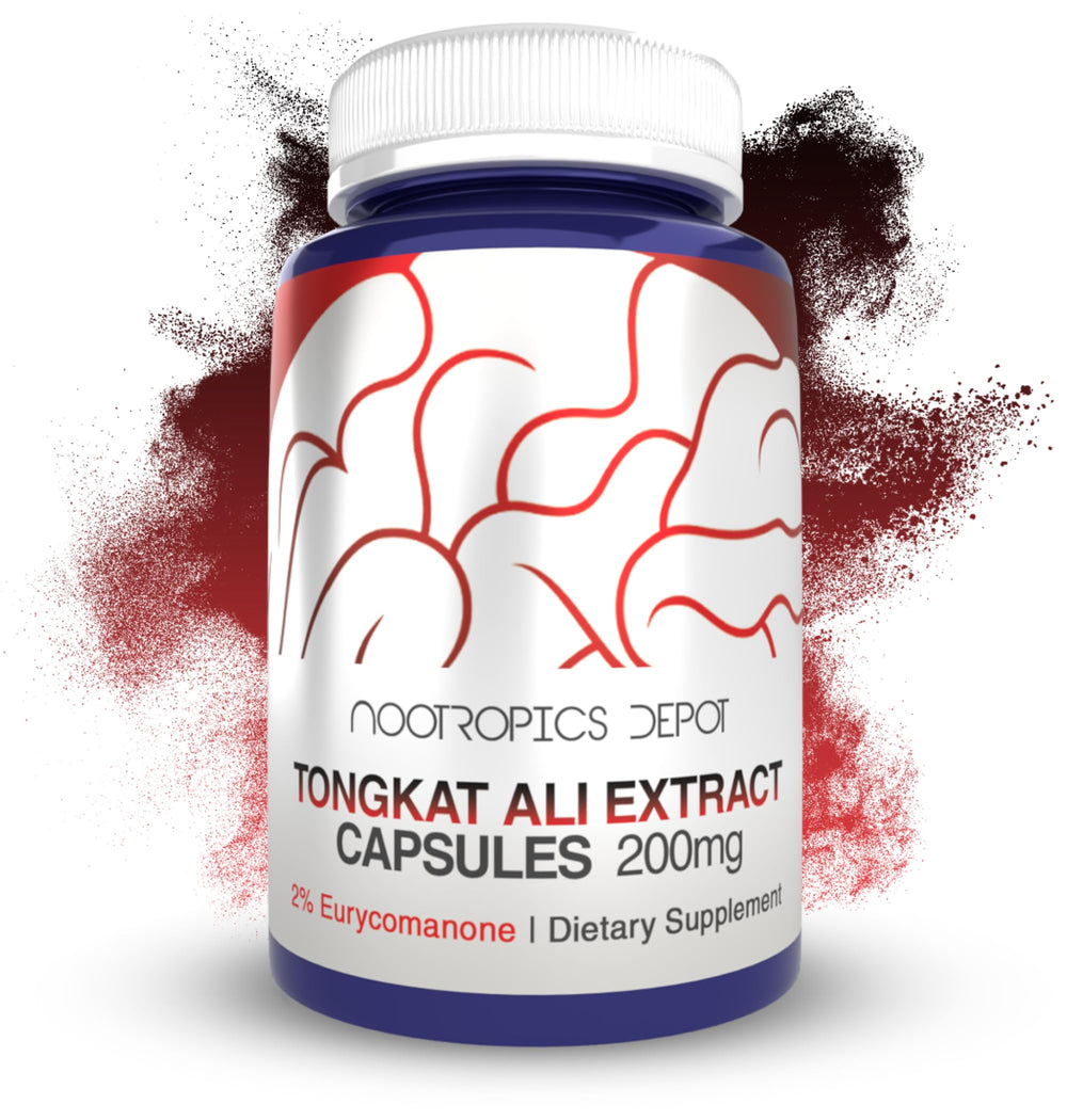 Nootropics Depot Tongkat Ali capsules front view; supports energy and focus.