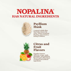 Nopalina ingredients graphic shows flax, psyllium, and nopal fibers for balanced digestion.