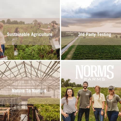 Norm's Farms elderberry syrup in hot tea infusion for comforting ritual.