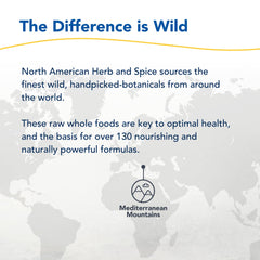 Supplement scene with PurelyMin conveys premium wild-sourced ingredients.