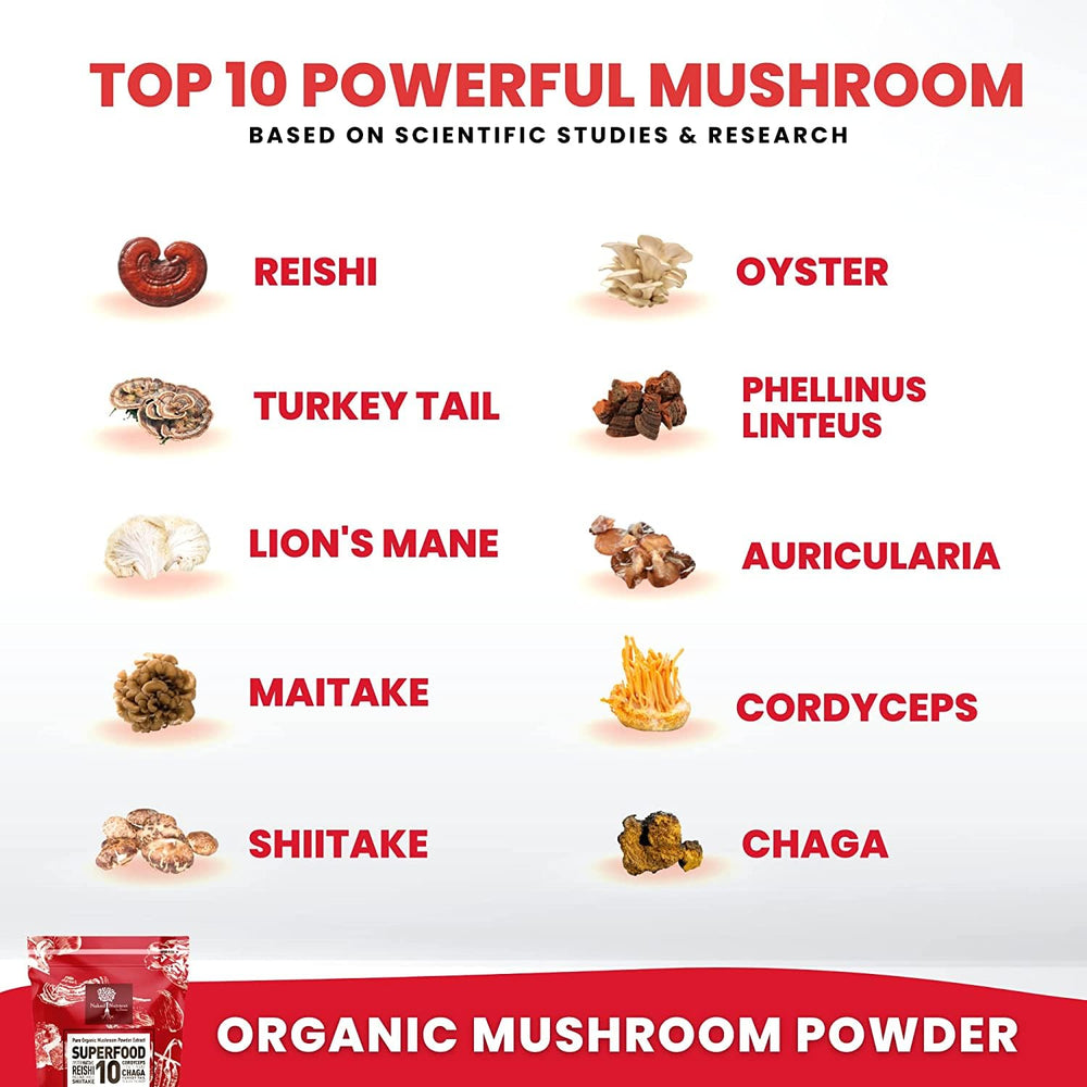 Nourishing Nutrients reishi chaga lion's mane closeup highlighting premium ingredients.