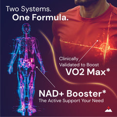 Novex Biotech Oxydrene bottle label showing ingredients for NAD+ enhancement.