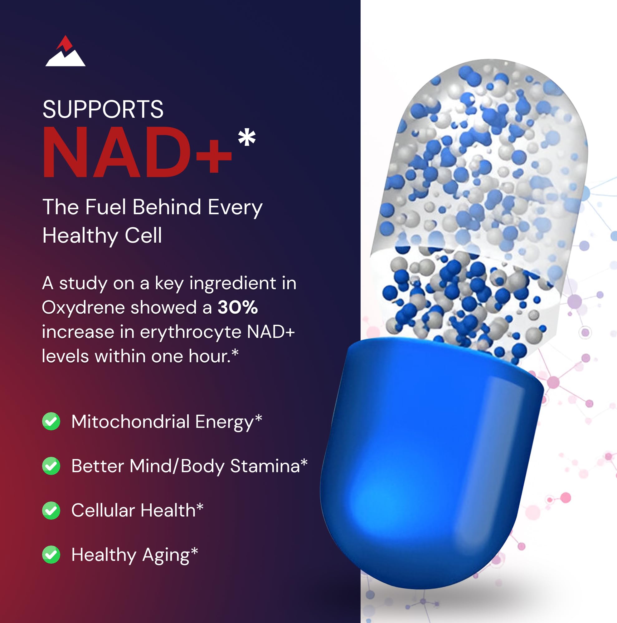 Novex Biotech Oxydrene packaging box highlights product details and usage guidance.