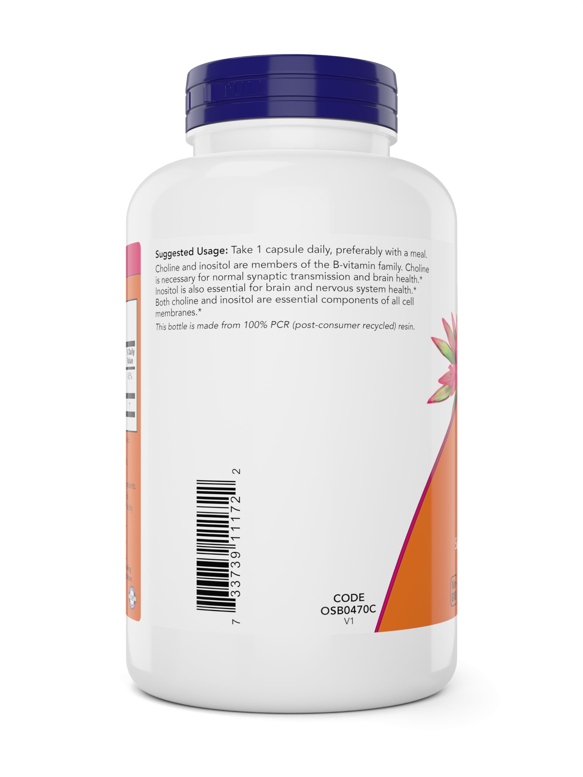 NOW Choline & Inositol allergen information panel, safe for many diets.