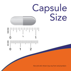 NOW Foods Candida Support oregano oil visual emphasizing gut-friendly herbal support.
