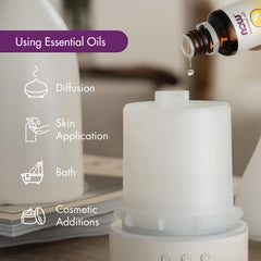 NOW Foods steam-distilled eucalyptus leaves for pure, authentic essential oil aroma.