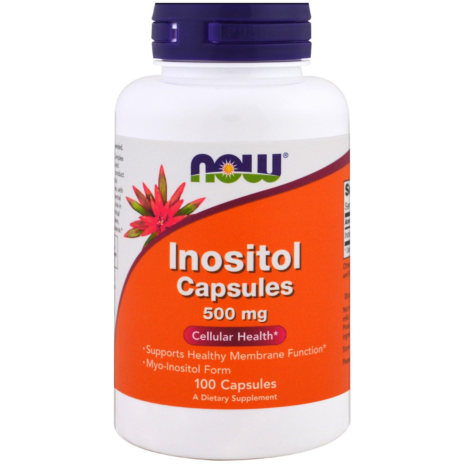 NOW Foods Inositol nutrition facts label to aid informed supplement choices.