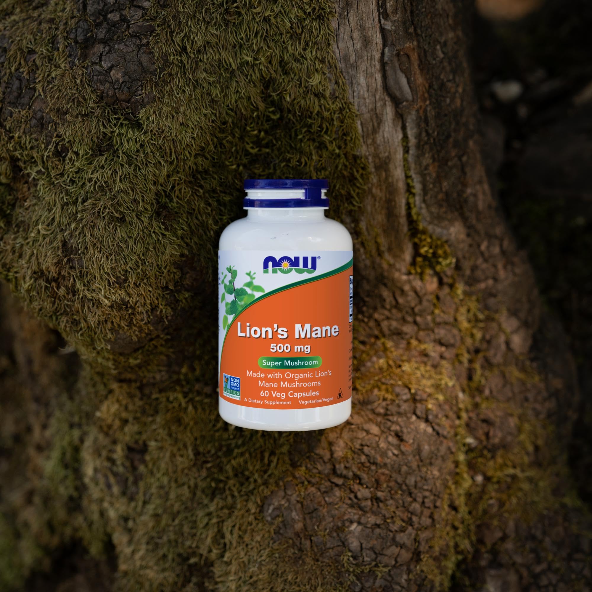 NOW Foods non-GMO verification badge for product transparency.